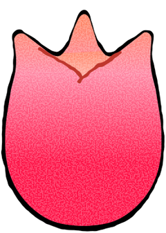 Option 2